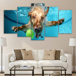 tableau chien dans un piscine