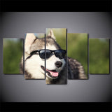 tableau d’un husky avec des lunettes