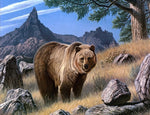 tableau ours montagne et rocher
