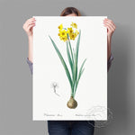 Affiche fond blanc fleurs jaune