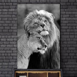 affiche lion 1 pièce Lion et lionne noir et blanc