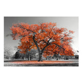 tableau noir et blanc arbre orange