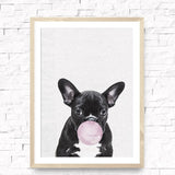 tableau dalmatien