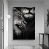 tableau photo lion mâle et femelle