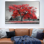 tableau photo noir et blanc arbre rouge