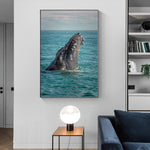 affiche tête baleine photo