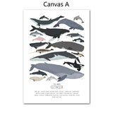 Ocean Cetacea Whale Sharks Wall Art Paper Canvas Painting 