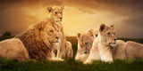 Tableau Lion Famille entière