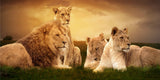 tableau d’une famille de lions