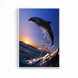 Cute Dolphin Background Canvas Painting Creative Fashion 