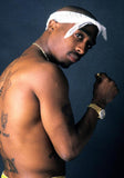tableau poster tupac