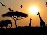 Tableau ombre girafe