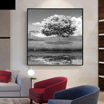 tableau arbre photo en noir et blanc