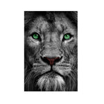 tableau lion yeux verts fond noir