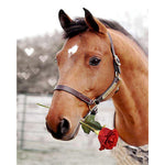 Tableau peinture cheval et rose