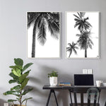 tableau photo noir et blanc tropicale