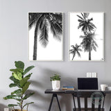 tableau photo noir et blanc tropicale