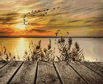 tableau pont en bois et ombre oiseau