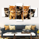 tableau famille chaton sur fond blanc