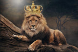tableau moderne lion et couronne