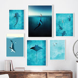 Blue Whale Shark Diver Sail Manta Rays Surf Sea Wall Art 