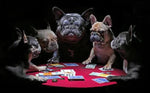 tableau chiens joueurs de cartes