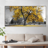 tableau photo noir et blanc arbre jaune
