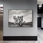 affiche lion 1 pièce Lionceaux noir et blanc
