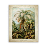 tableau abstrait de la jungle