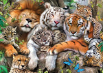 Affiche tigre lion et léopard