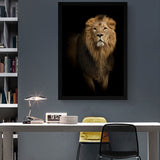 affiche lion 1 pièce Magique fond noir