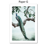 Tableau photo arbre et oiseau vert