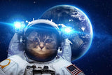 tableau d’un chat astronaute