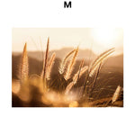 Affiche photo champ de blé