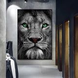 tableau lion gris yeux verts