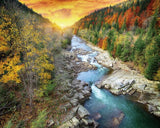 tableau foret dans la brume