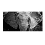Cadre peinture éléphant en noir et blanc