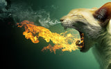 tableau chat qui crache du feu
