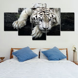 tableau photo tigre blanc coucher