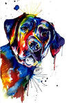 tableau saint Bernard coloré