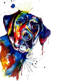 tableau saint Bernard coloré