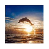 Dolphin Jumping Out of Water Art Canvas Painting Sunset 