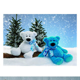 tableau peluche ours bleue et une blanche