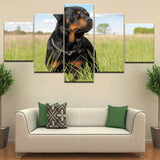 Tableau chien noir et orange