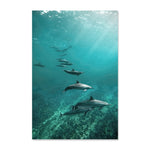 Turquoise Ocean Wave Dolphins Nature Scene Gallery Posters 