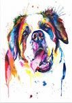 tableau saint Bernard coloré