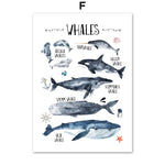 Watercolor Whale Shark Alphabet Nordic Posters And Prints 