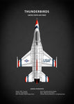 Affiche vintage avion UAF