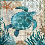 Affiche retro tortue bleue