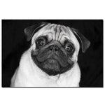 tableau petit chien blanc fond noir
